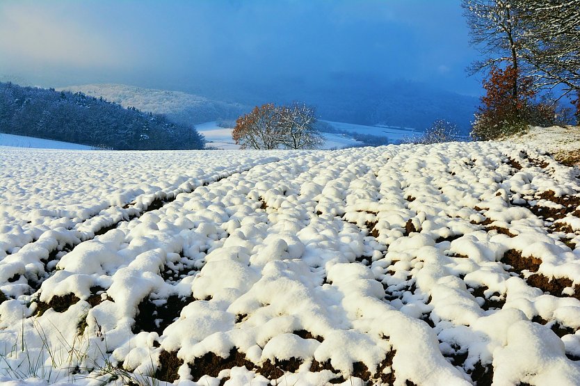 Winterwetter (Foto: congerdesign auf Pixabay)