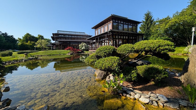 Japanischer Garten in Bad Langensalza (Foto: KTL Kur und Tourismus Bad Langensalza GmbH ) Japanischer Garten in Bad Langensalza (Foto: KTL Kur und Tourismus Bad Langensalza GmbH )