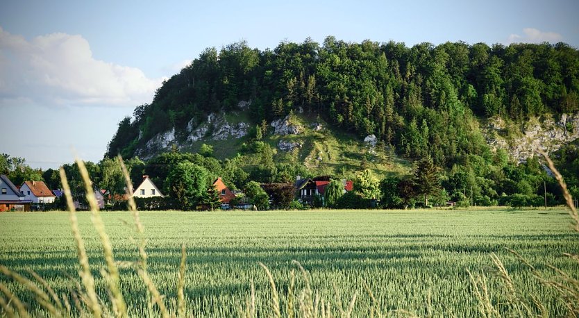Der Mühlberg in Niedersachswerfen gehört zum Gipskarstgürtel. (Foto: ssc) Der Mühlberg in Niedersachswerfen gehört zum Gipskarstgürtel. (Foto: ssc)