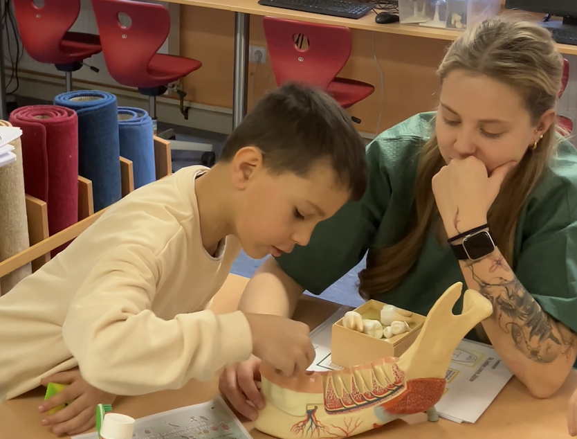 Zum Tag der Zahngesundheit konnte auch am Modell getüftelt werden (Foto: Pressestelle Landratsamt) Zum Tag der Zahngesundheit konnte auch am Modell getüftelt werden (Foto: Pressestelle Landratsamt)