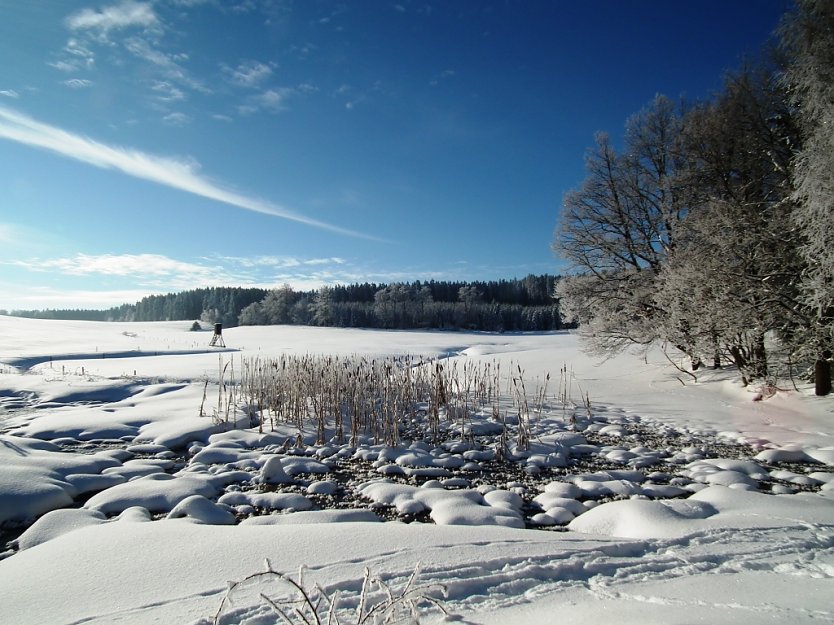 Winterlandschaft im Schnee (Foto: Th&uuml;ringenForst)