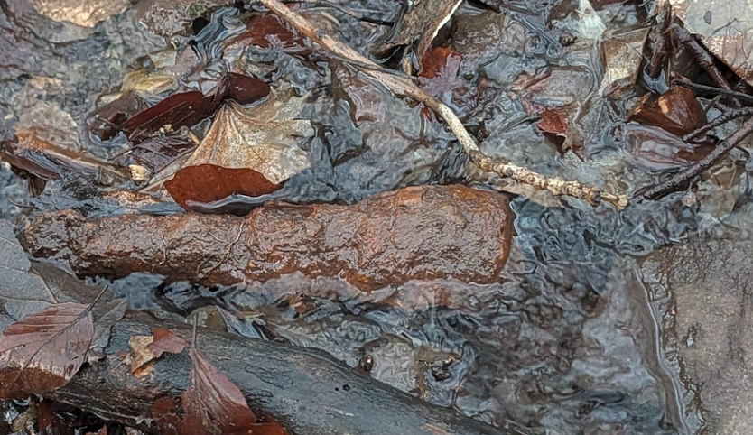 Keine Munition sondern nur Metallschrott. (Foto: Silvio Dietzel)