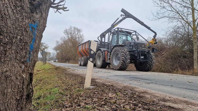 An der Stra&szlig;e nach Heringen wurde heute mit dem Baumschnitt zur Vorbereitung der Bauma&szlig;nahmen begonnen (Foto: agl)
