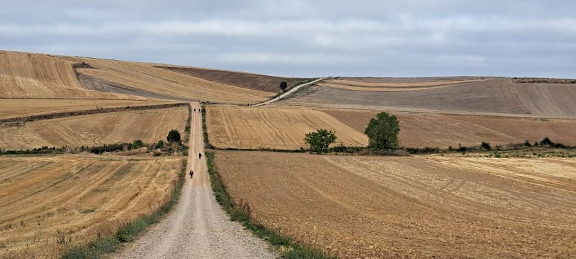 Fotos wie dieses pr&auml;sentiert R&uuml;diger Neitzke am Samstagabend.  (Foto: R&uuml;diger Neitzke)