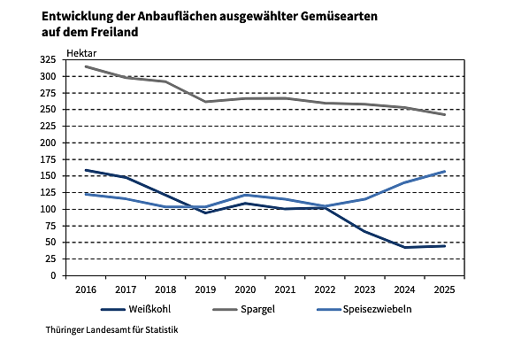 Anbaufl&auml;che der drei wichtigsten Gem&uuml;se in Th&uuml;ringen.  (Foto: Grafik: Statistisches Landesamt)