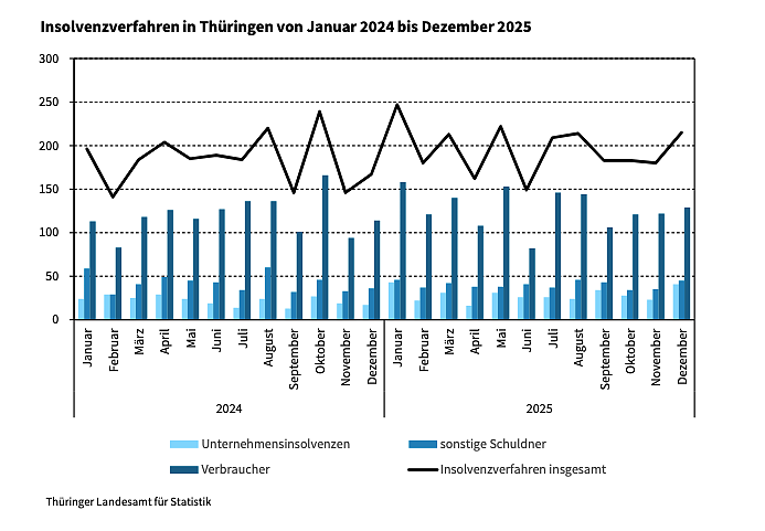 Überblick über das Insolvenzgeschehen im vergangenen Jahr. (Foto: Grafik: Statistisches Landesamt) Überblick über das Insolvenzgeschehen im vergangenen Jahr. (Foto: Grafik: Statistisches Landesamt)
